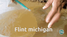 Flint Meme Flint Michigan GIF - Flint Meme Flint Michigan Flint Tap Water GIFs