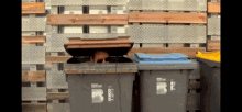 Trash Garbage GIF - Trash Garbage Misty GIFs