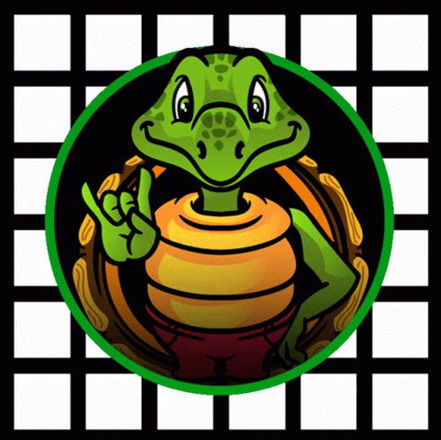 Savvy Turtle GIF - Savvy Turtle GIFs