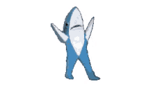 shark dancing