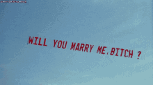 Will You Marry Me Bitch GIF - Will You Marry Me Bitch Marry Me Bitch GIFs