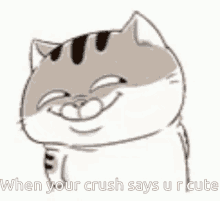 When Your Crush Says Ur Cut Cat GIF - When Your Crush Says Ur Cut Cat Smile GIFs