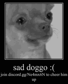Sad Sad Dog GIF - Sad Sad Dog Sad Eyes GIFs
