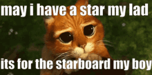 Starboard Star My Lad GIF - Starboard Star My Lad Star My Boy GIFs