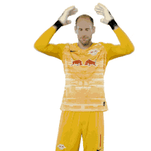 oh nein peter gulacsi rb leipzig h%C3%A4nde an den kopf haare raufen oh nein peter gulacsi rb leipzig h%C3%A4nde an den kopf haare raufen