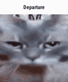 Meme Departure GIF - Meme Departure Memes GIFs
