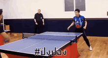 ปิงปอง ชิลๆ GIF - Table Tennis Ping Pong GIFs