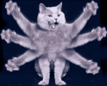 Cat Paws GIF - Cat Paws Grin GIFs