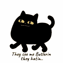 butler the cat they see me butlerin they see me butler cat black cat butler they see me butlerin they hatin