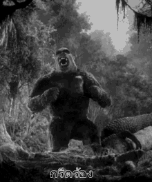คิงคอง กรีดร้อง คำราม GIF - King Kong Scream Roar GIFs