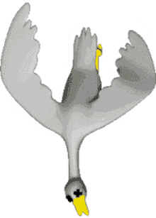 pilotredsunn