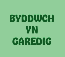 Byddwch Yn Garedig Welsh GIF - Byddwch Yn Garedig Welsh Cymraeg GIFs