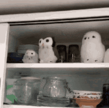 Hiding Chouette GIF - Hiding Chouette Owl GIFs