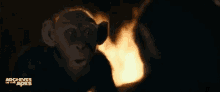 bad ape planet of the apes