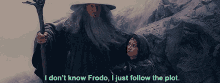 I Dont Know Follow The Plot GIF - I Dont Know Follow The Plot Gandalf GIFs