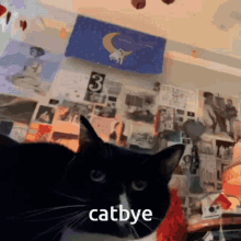 Cat Catbye GIF - Cat Catbye Bye GIFs