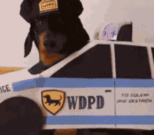 Police Dog Doggo GIF - Police Dog Dog Doggo GIFs