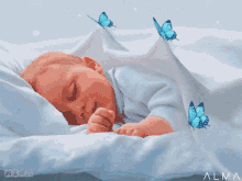 Buenas Noches Sleeping GIF - Buenas Noches Sleeping Baby GIFs