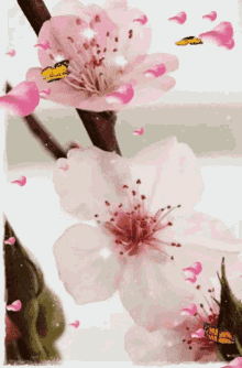 Sakura Fly Pink Flower GIF - Sakura Fly Pink Flower GIFs