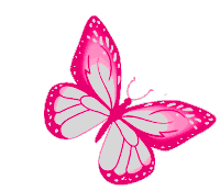 Butterfly Pink Butterfly Sticker - Butterfly Pink Butterfly Freedom Stickers