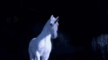Unicorn Farts GIF - Unicorn Farts GIFs