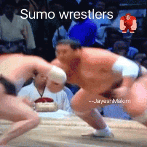 Sumo Wrestling GIF.