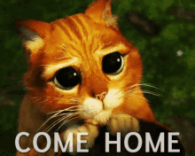 Come Come Home GIF - Come Home Cat Lonely Eyes GIFs