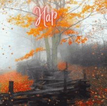 Happy Fall First Day Of Fall GIF - Happy Fall First Day Of Fall Autumn GIFs