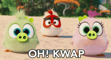 Oh Kwap Messed Up GIF - Oh Kwap Messed Up Blinking GIFs