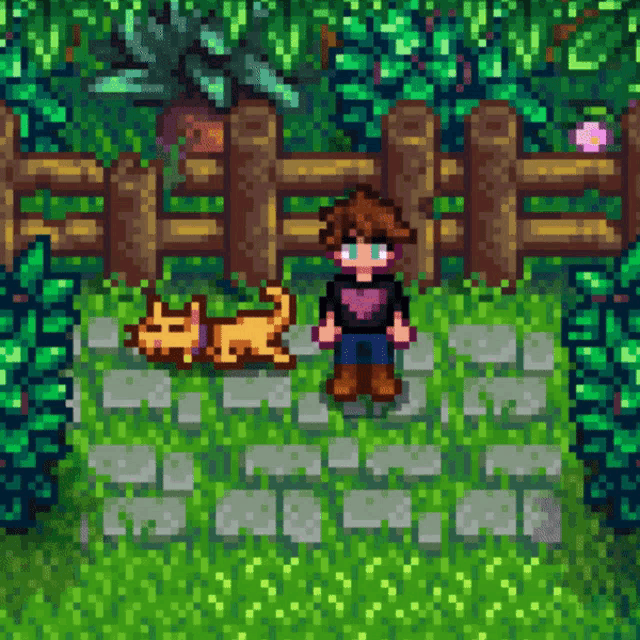 Valentinandsean Stardew Valley GIF Valentinandsean Stardew Valley Cat