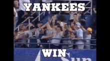New York Yankees Yankees GIF - New York Yankees Yankees Yankees Win GIFs