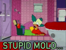 stupid mold krusty simpsons