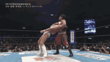 japan wrestling