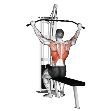 Lat Pulldown GIF