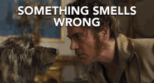 smells something