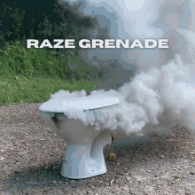 Raze Grenade GIF - Raze Grenade Valorant GIFs