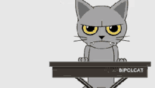 Bipolcat - Bipolar GIF - Bipolar Sad Cat Cat GIFs