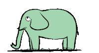 Downsign Endangered Sticker - Downsign Endangered Elephant Stickers
