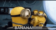 banana minions fight mine give it to me