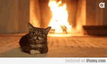 Fire Cat GIF - Cat Cozy Relax GIFs