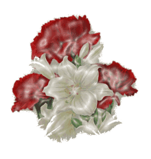 vir%C3%A1gok flowers thank you congratulations love you vir%C3%A1gok flowers thank you congratulations love you