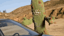 Cactus Attack GIF - Cactus Attack Strike GIFs