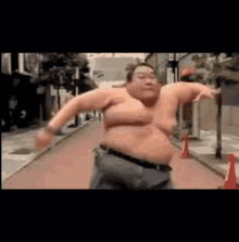 Sumo Gifs Tenor