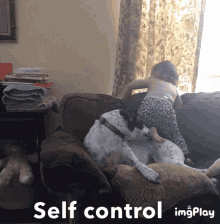 Self Control Have Some Patience GIF - Self Control Have Some Patience Dogs GIFs