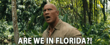 Are We In Florida Whats Going On GIF - Are We In Florida Whats Going On Confused GIFs