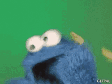 Taco Taco Monster GIF - Taco Taco Monster Cookie Monster GIFs