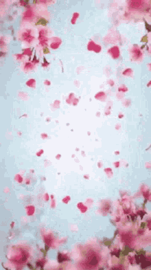 Flower Petals Falling GIF - Flower Petals Falling Raining Flowers GIFs