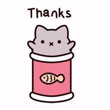thanks kitty