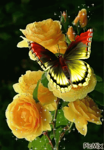Yellow Rose GIF - Yellow Rose Butterfly GIFs