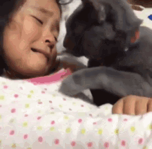 Dont Cry Cats GIF - Dont Cry Cats Comfort GIFs